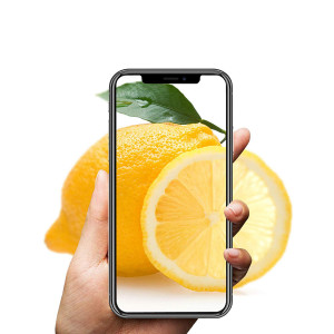 2x Echt Glas Panzerfolie für iPhone Xs