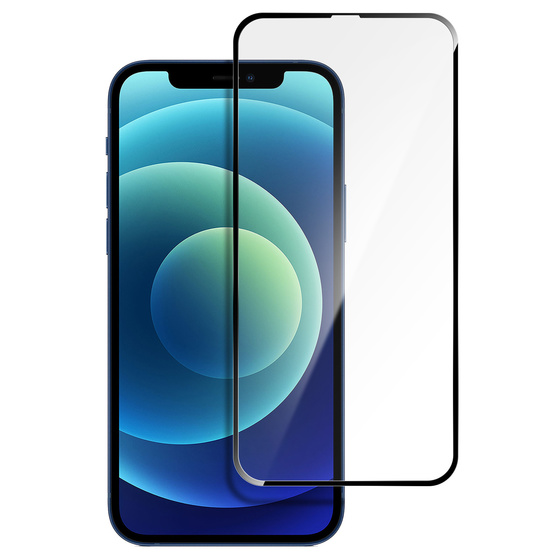 Ultra Dnne TPU Silikon Hlle in Matt Schwarz fr iPhone 12 mini  mit 5D Schutzglas