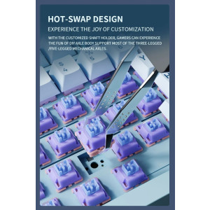 LANGTU LT75 RGB Tri-Mode Gaming Tastatur