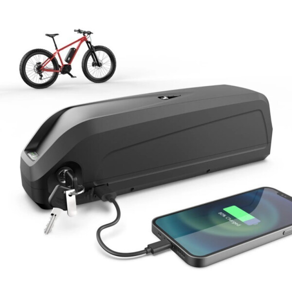E Bike Akku 48V 10Ah 1200W Hailong Max Samsung 21700 XT60 mit Ladegerät