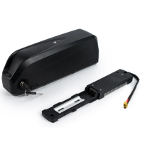 Hochleistungs-E-Bike-Akku 48V 10Ah 1200W Samsung 21700 Zellen mit BMS & XT60