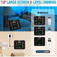 Sainlogic Wetterstation FT0835 Funk mit Regenmesser, Windmesser & WLAN-Anbindung