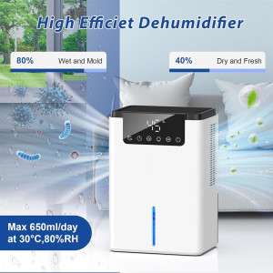 Flaystar Luftentfeuchter 2,2L Leise mit Schlafmodus, Ionisator & Abtaufunktion