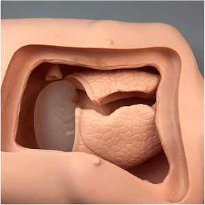 Pflegepuppe Oberkörper Pflege Anatomiemodell Nasensonde Trachea Training