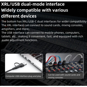 S338 RGB Mikrofon USB C XLR Dynamisch 192kHz Gaming Podcast Studio Mikro