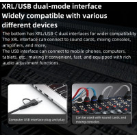 S338 RGB Mikrofon USB C XLR Dynamisch 192kHz Gaming Podcast Studio Mikro