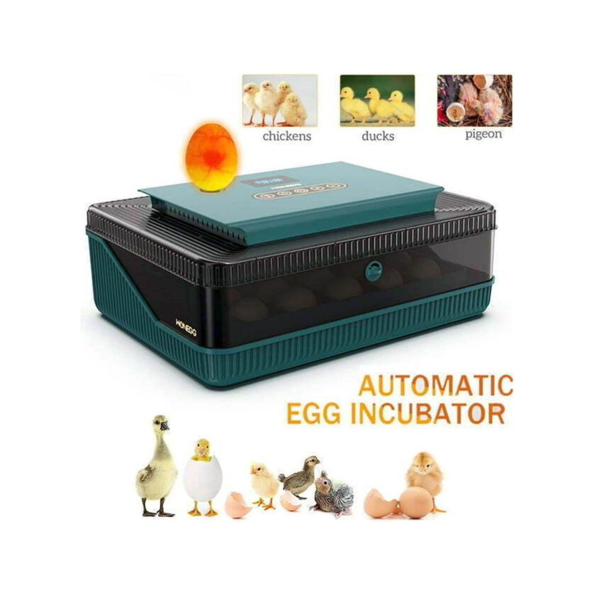 Monego ZC25 Eier-Inkubator 25 Eier automatisch wendend LED E