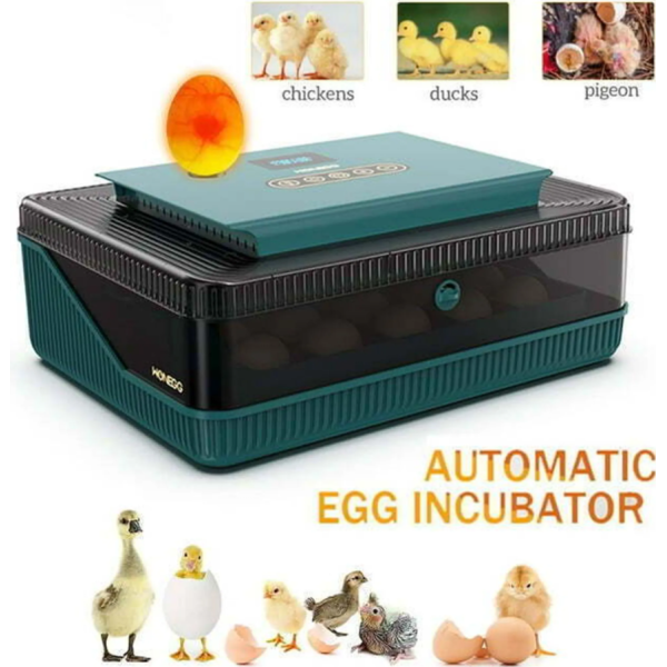 Monego ZC25 Eier-Inkubator 25 Eier automatisch wendend LED Eierkerze