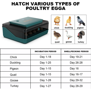 Monego ZC25 Eier-Inkubator 25 Eier automatisch wendend LED Eierkerze