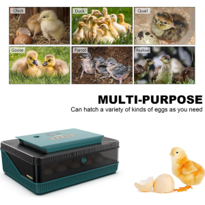 Monego ZC25 Eier-Inkubator 25 Eier automatisch wendend LED Eierkerze