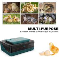 Monego ZC25 Eier-Inkubator 25 Eier automatisch wendend LED Eierkerze