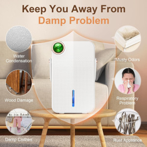 88 OZ Dehumidifier Tragbarer Luftentfeuchter Schlafzimmer Badezimmer 28W