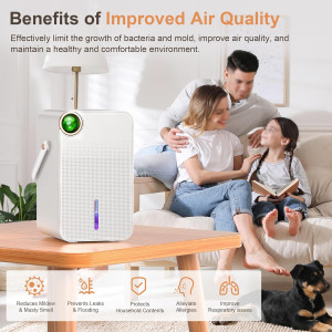 88 OZ Dehumidifier Tragbarer Luftentfeuchter Schlafzimmer Badezimmer 28W
