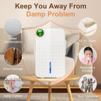 88 OZ Dehumidifier Tragbarer Luftentfeuchter Schlafzimmer Badezimmer 28W