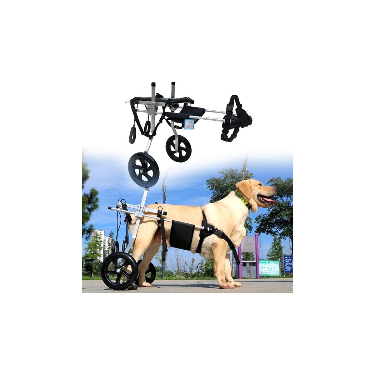 Hunderollstuhl für große Hunde Gelähmte Hint