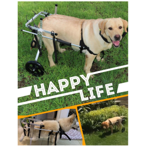 Hunderollstuhl für große Hunde Gelähmte Hinterbeine Aluminiumrahmen Verstellbar