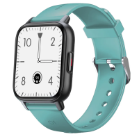 Gard Pro Health Smartwatch 2- Grün -B