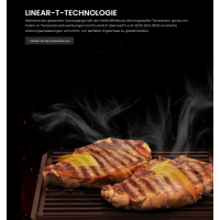 AeroFry 8L Heißluftfritteuse TTAF-801DT 2 Zonen 1700W LED Touch Display