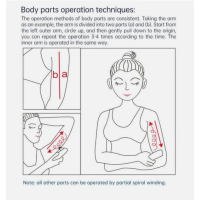 RF02 RF EMS Radiofrequenz Anti-Aging Gerät für Gesicht und Körper