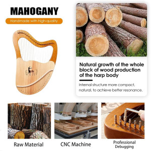 Lyre Harp 32 Saiten Mahagoniholz Leierharfe Starter-Set für Anfänger & Musikliebhaber