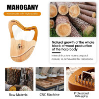 Lyre Harp 32 Saiten Mahagoniholz Leierharfe Starter-Set für Anfänger & Musikliebhaber