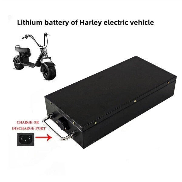 VKVL 60V 50Ah Lithium Batterie für Harley Citycoco E-Scooter mit Ladegerät