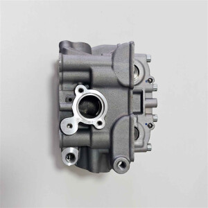 Royal Alloy 125cc Zylinderkopf komplett LC DOHC Original 100142268-0001
