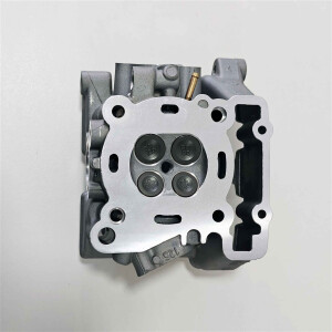 Royal Alloy 125cc Zylinderkopf komplett LC DOHC Original 100142268-0001