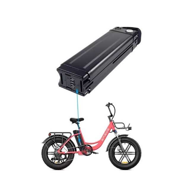 AKJA E-Bike Akku 24V 10Ah Silberfisch Akku mit Ladegerät BMS Batterie