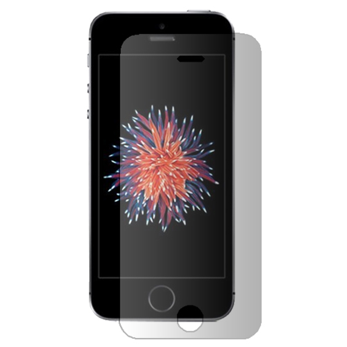 Bear Village® iPhone SE / 5 5S Displayschutzfolie 2 Stück 9H Hart Schutzfilm aus Gehärtetem Glas Ultra-klar Displayschutz Schutzfolie für Apple iPhone SE / 5 5S 